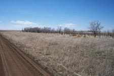 Gallery image 10