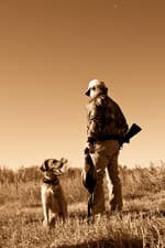 Faulkton South Dakota Pheasant Hunting | Faulkton, SD image 3