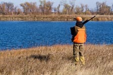 Faulkton South Dakota Pheasant Hunting | Faulkton, SD image 5