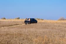 Faulkton South Dakota Pheasant Hunting | Faulkton, SD image 6
