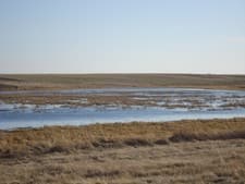 Gunner's Haven Pheasant Camp image 1