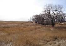 Meadow Creek Pheasant Camp image 10
