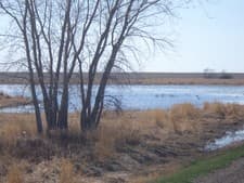 Gunner's Haven Pheasant Camp image 2