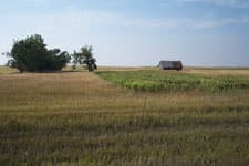 Pheasant Camp Lodge image 3