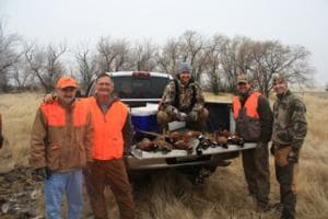 Meadow Creek Pheasant Camp image 4