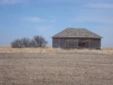 Gunner's Haven Pheasant Camp image 4