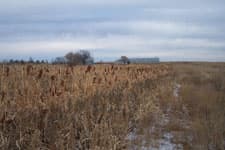 Pheasant Camp Lodge image 4