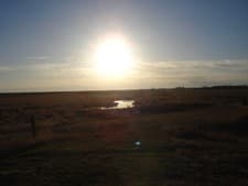 Gunner's Haven Pheasant Camp image 5