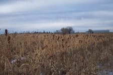 Pheasant Camp Lodge image 6