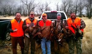 Meadow Creek Pheasant Camp image 7