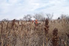 Pheasant Camp Lodge image 7