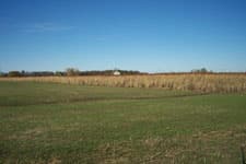 Pheasant Camp Lodge image 8