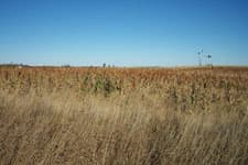 Pheasant Camp Lodge image 9